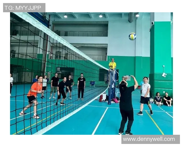 上海排球队的奋进之路与挑战赛的辉煌成就全景回顾