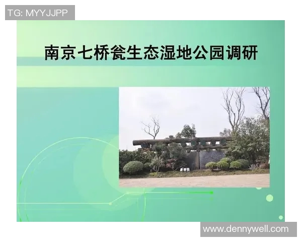 南京乒乓球队与杭州乒乓球队个人能力赛后分析与对比探讨