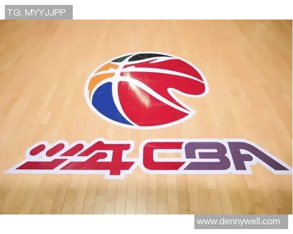 武汉排球队的转型之路探索与挑战并存的崭新篇章